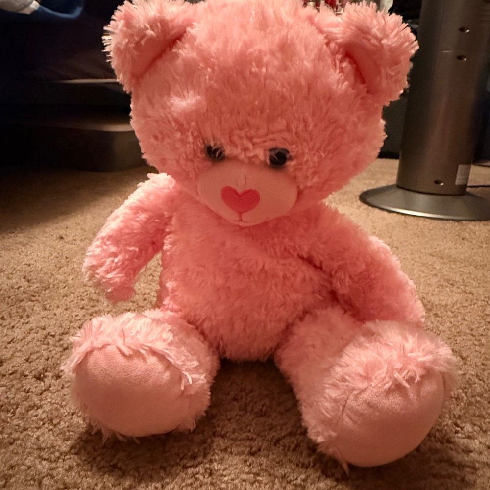Build-A-Bear Workshop Pink Teddy Bear Soft Plush Stuffed Animal 16 Inch